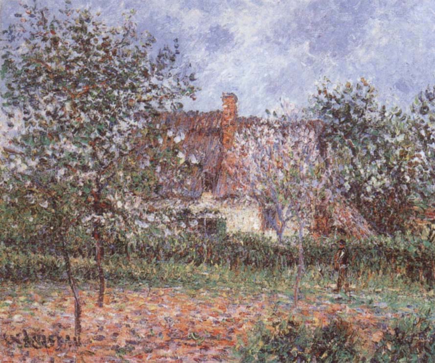 Orchard in Spring